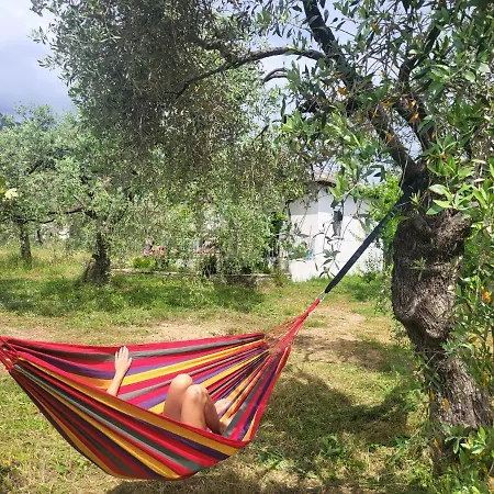 بيت للعطل Ioannis - Gemuetliches Im Olivenhain