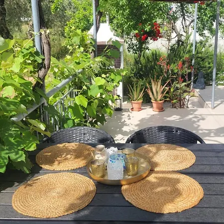 Ioannis - Gemuetliches Im Olivenhain سكالا بوتامياس