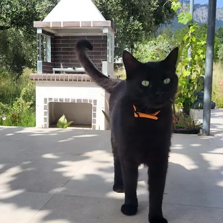 Ioannis - Gemuetliches Im Olivenhain بيت للعطل *