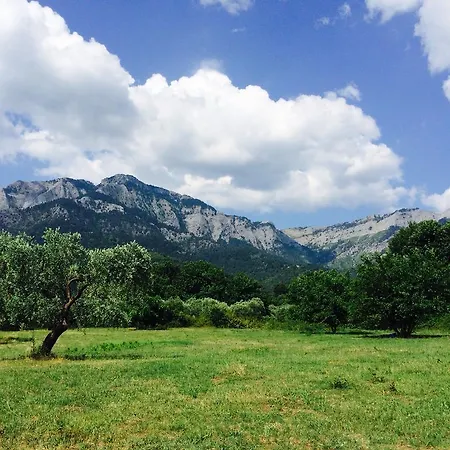 Ioannis - Gemuetliches Im Olivenhain