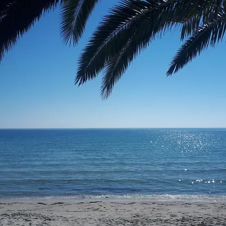 Ioannis - Gemütliches Im Olivenhain * Skala Potamia (Thasos)